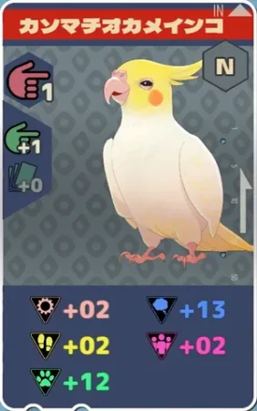pma-カソマチオカメインコ