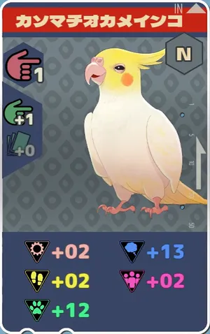 pma-カソマチオカメインコ