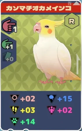 pma-カソマチオカメインコh02