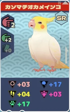 pma-カソマチオカメインコh03