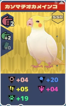 pma-カソマチオカメインコh04