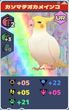 pma-カソマチオカメインコh05