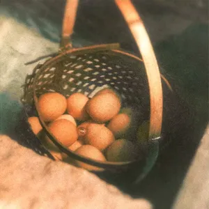 pma-パーフェクトな温泉卵