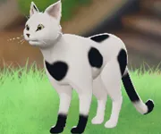 tos_ブルース