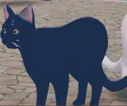 tos_ルナ