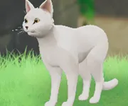 tos_シロ