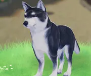 tosi_羊かん