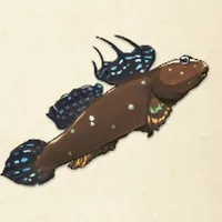 tos_ムツゴロウ