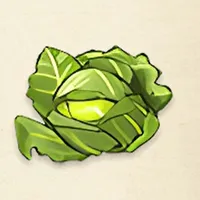 tos_キャベツ