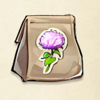 tos_アジサイの種