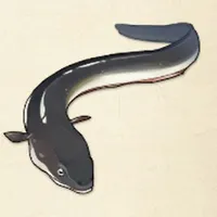 tos_ウナギ