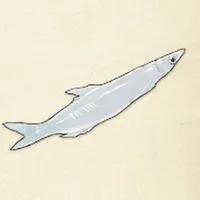 tos_シラウオ