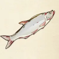 tos_アカクチカマツカ