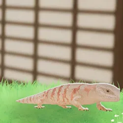 tos_家族動物（ブラウニー