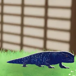 tos_家族動物（シャール