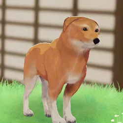 tos_家族動物（エッグタルト