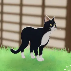 tos_家族動物（フレイヤ