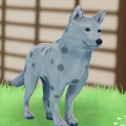 tos_家族動物（ジョジョ