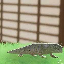 tos_家族動物（ミオラ