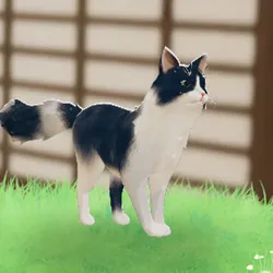 tos_家族動物（ミソ