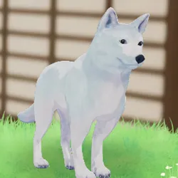 tos_家族動物（Mrフルーフ