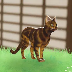 tos_家族動物（ナキ