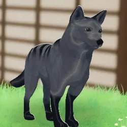 tos_家族動物（ヌードル