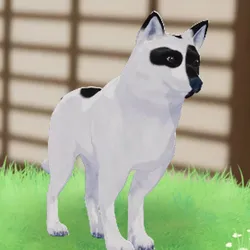 tos_家族動物（オーディン