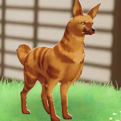 tos_家族動物（オレンジ