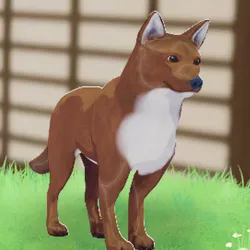 tos_家族動物（オットー