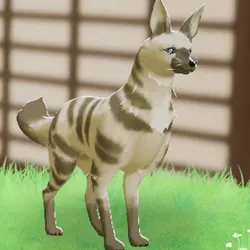 tos_家族動物（パトリック