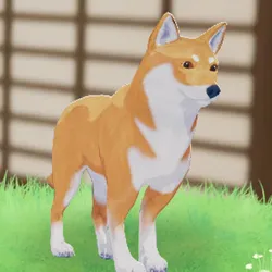 tos_家族動物（サンちゃん