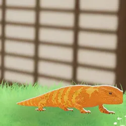 tos_家族動物（サニー