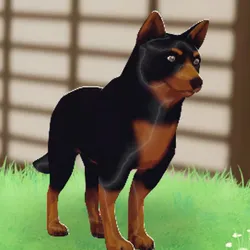 tos_家族動物（タライ