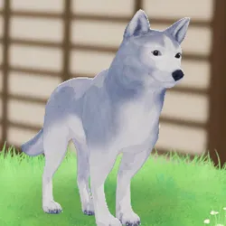 tos_家族動物（ウルフィー