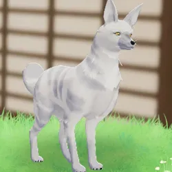 tos_家族動物（ワンダー