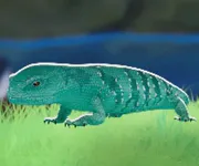 tos_ドラコ