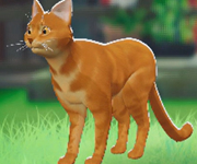 tos_ハナ