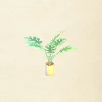 tos_モンステラの植木鉢