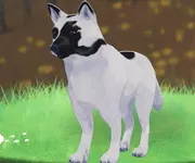 tos_オーディン