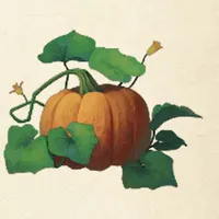 to_カボチャ