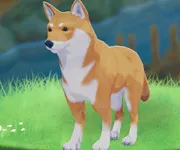 tos_サンちゃん
