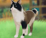 tos_シンディ