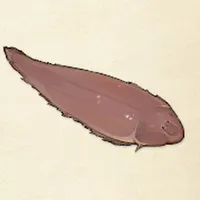tos_シタビラメ