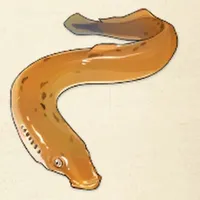 tos_ヤツメウナギ