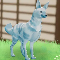 tos_家族動物（ウミ