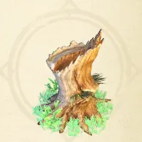 tos_キノコの切り株