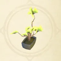 tos_植木鉢