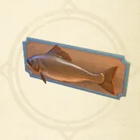 tos_魚のはく製