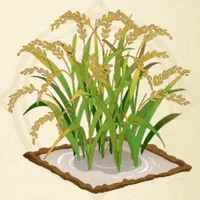tos_巨大な稲